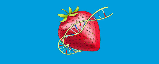 DNA-capa-1